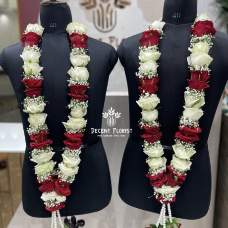 Red Rose White Rose and Gipso